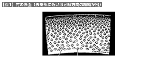 【図1】竹の断面(表皮部に近いほど縦方向の組織が密) 【図1】竹の断面(表皮部に近いほど縦方向の組織が密)