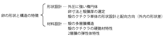 卵の形状と構造の特徴 卵の形状と構造の特徴