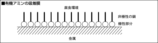 ■有機アミンの吸着膜 ■有機アミンの吸着膜