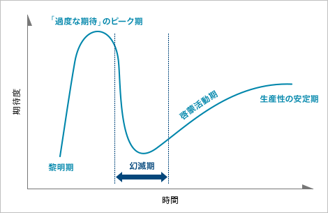 図1 ハイプ･サイクル
